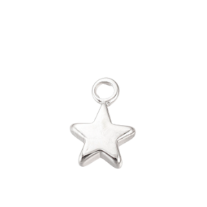 Main Star Charm
